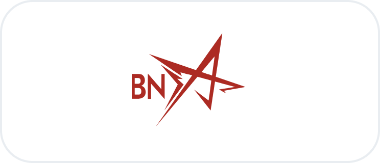 logo bn