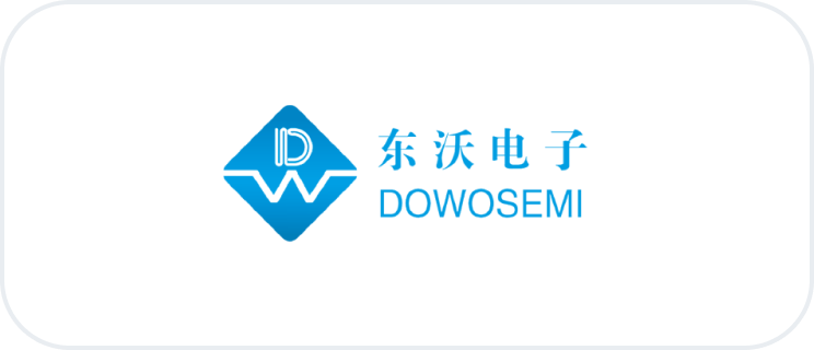 logo dowosemi