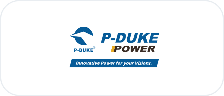 logo p-duke